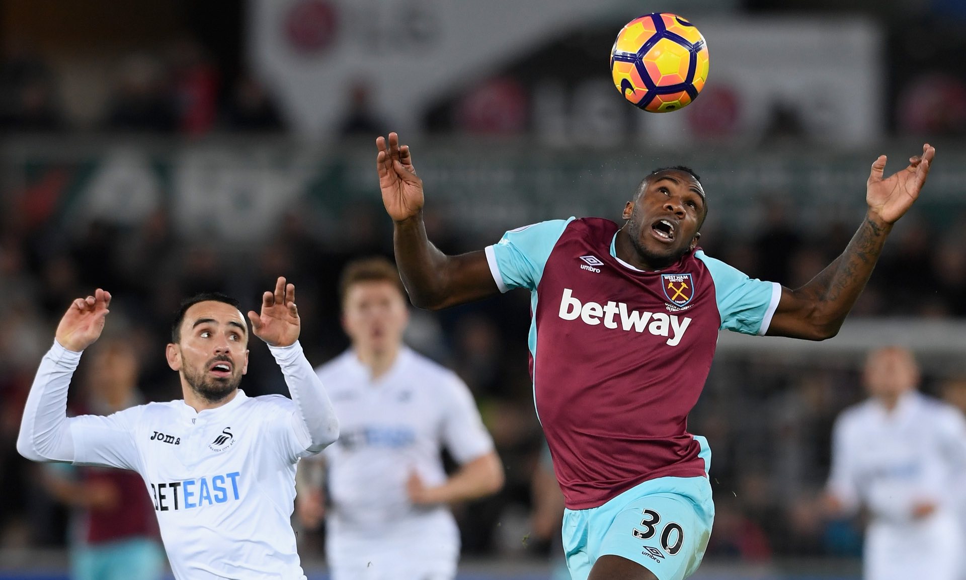 相信这个新 相信这个新